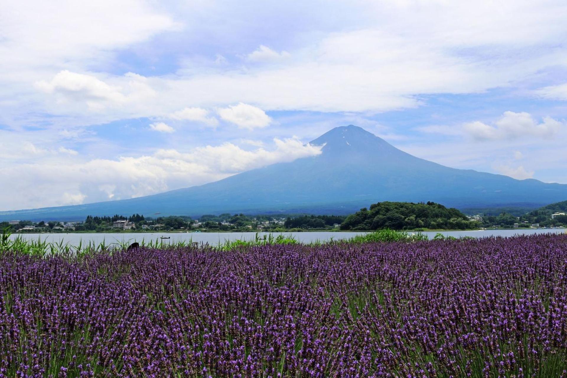 福寿苑　Fukujuen Vila Oshino Exterior foto